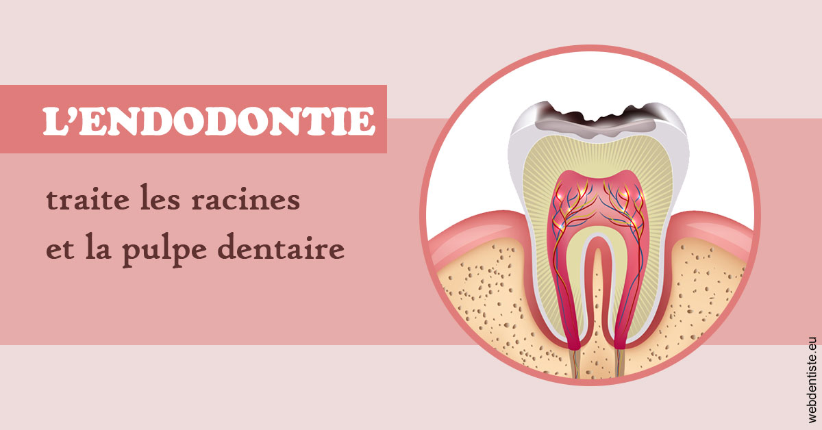 https://dr-ambert-tosi-laurence.chirurgiens-dentistes.fr/L'endodontie 2