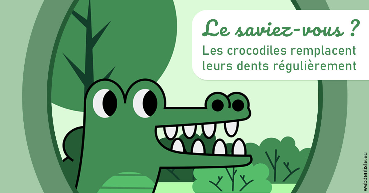 https://dr-ambert-tosi-laurence.chirurgiens-dentistes.fr/Crocodiles 2