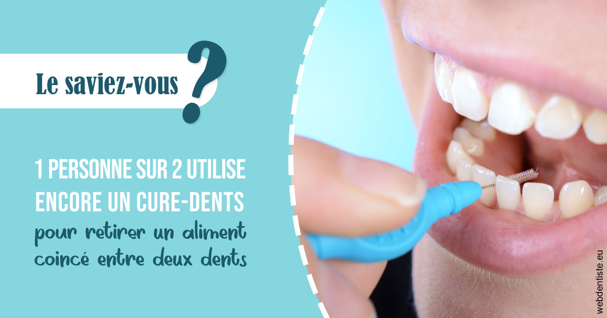 https://dr-ambert-tosi-laurence.chirurgiens-dentistes.fr/Cure-dents 1